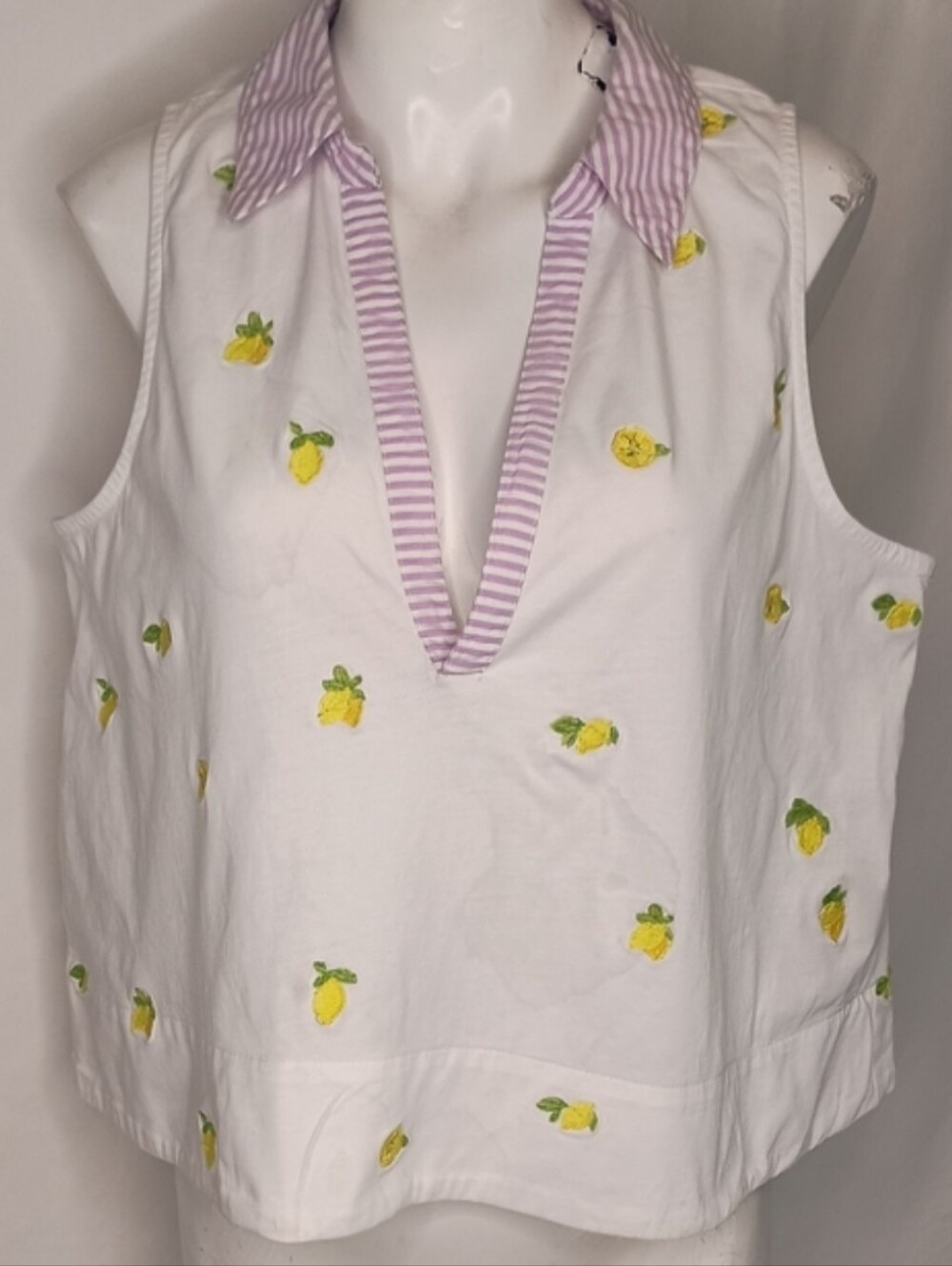 Maeve Sleeveless swing popover top striped collar embroidered - Picture 3 of 8